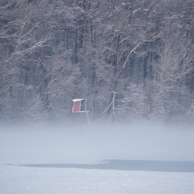 Nebelschwaden übern Schnee, Biensdorf an der Zschopau, Winter 2021